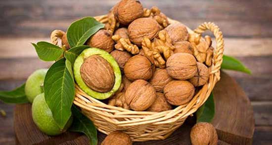 تعبیر خواب درخت گردو ، معنی دیدن درخت گردو در خواب های ما چیست