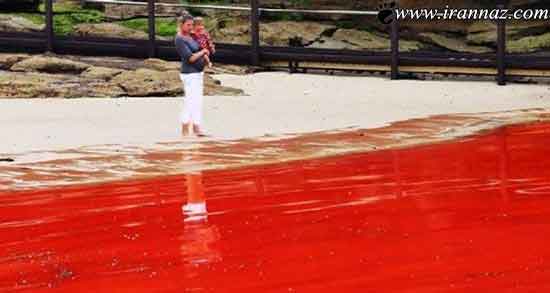 تعبیر خواب دریای خونی ، و پنجره رو به دریا باز شدن ابن سیرین و حضرت یوسف