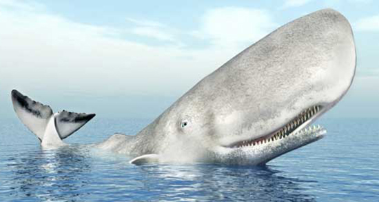 تعبیر خواب دیدن نهنگ در اب ، معنی دیدن نهنگ در اب در خواب های ما چیست