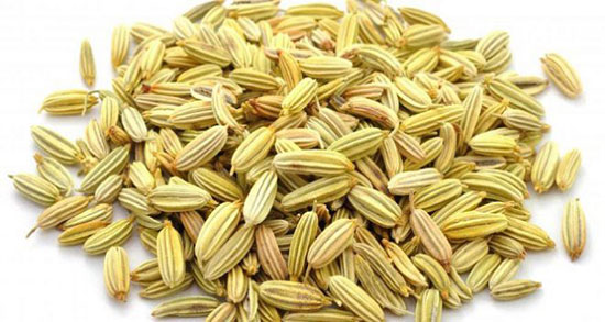 تعبیر خواب رازیانه سبز گرفتن و عرق و درخت و چیدن زیره و رازیانه چیست