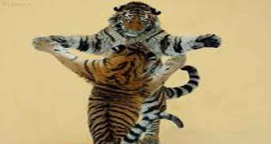 تعبیر خواب رقص در اتش و باران و با آهنگ در مجلس عزا و برهنه رقصیدن تعبیر خواب رقص در اتش ، معنی رقصیدن در آتش در خواب چیست