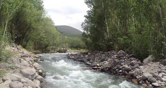 تعبیر خواب رودخانه پر از ماهی ، معنی دیدن رودخانه پر از ماهی در خواب ما چیست
