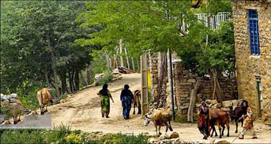تعبیر خواب روستای سرسبز ، معنی دیدن روستای سرسبز آشنا و ناشناس