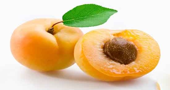 تعبیر خواب زردآلو نرسیده ، روی درخت در بارداری خشک چیست حضرت یوسف
