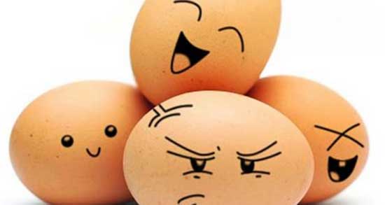 تعبیر خواب زرده تخمه مرغ ، معنی دیدن زرده تخمه مرغ در خواب های ما چیست