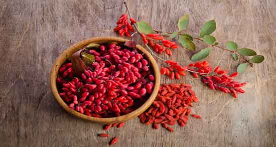 تعبیر خواب زرشک ، و زعفران ابن سیرین هدیه گرفتن برای زن باردار از مرده و بوته زرشک