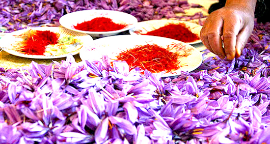 تعبیر خواب زعفران چیست ، معنی دیدن زعفران در خواب های ما چیست