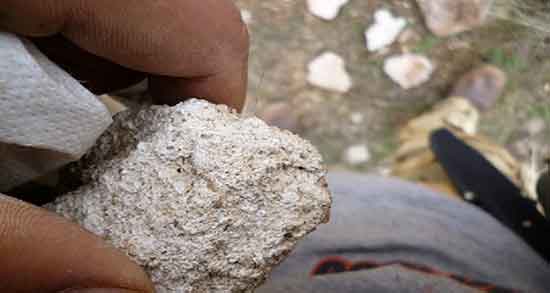 تعبیر خواب ساروج ، معنی دیدن ساروج در خواب چیست