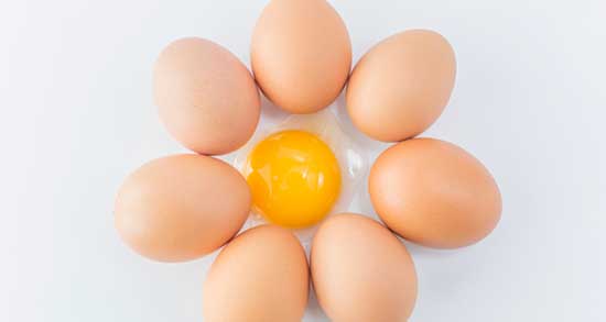 تعبیر خواب سفیده تخمه مرغ ، معنی دیدن سفیده تخمه مرغ در خواب ما چیست
