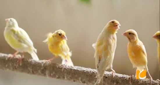 تعبیر خواب شاباش گرفتن ، معنی شاباش دادن و گرفتن در خواب های ما چیست