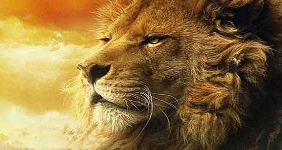 تعبیر خواب شیر جنگل ابن سیرین و حضرت یوسف و حرف زدن با شیر جنگل در خانه پارسی زی