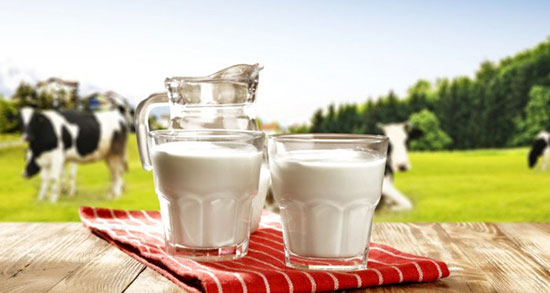 تعبیر خواب شیر خوردنی ابن سیرین ، جوشاندن شیر گاو و سطل شیر