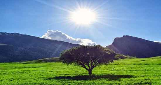 تعبیر خواب صبح و ساعت ۷ و ۸ و بعد از نماز صبح و بعد از طلوع آفتاب صحت دارد
