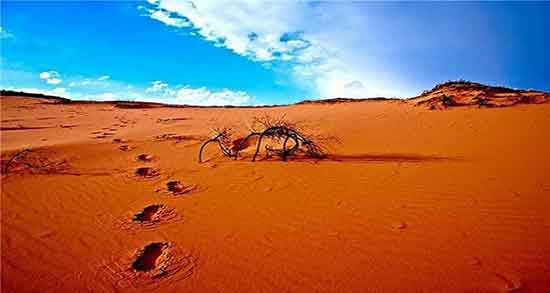 تعبیر خواب صحرا ، سرسبز و بیابان امام صادق و بیابان خاکی و گم شدن مرده در صحرا