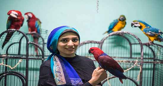 تعبیر خواب طوطی سفید در خانه ، معنی دیدن طوطی سفید در خانه چیست