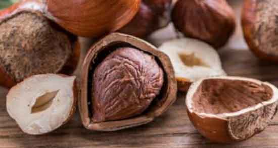 تعبیر خواب فندق برای زن باردار ، معنی دیدن فندق در بارداری چیست