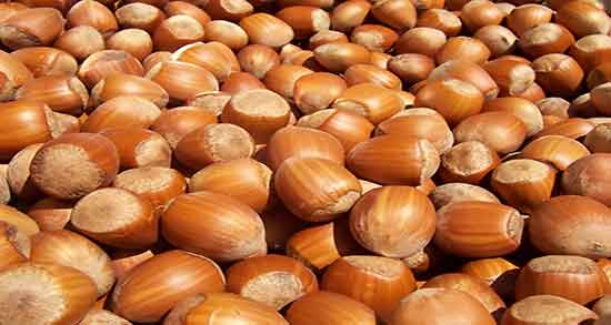 تعبیر خواب فندق در بارداری ، برای زن باردار و گرفتن فندق از مرده در خواب