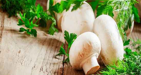 تعبیر خواب قارچ ، کوهی خوراکی از دید امام صادق و یوسف پیامبر روی بدن و چیدن