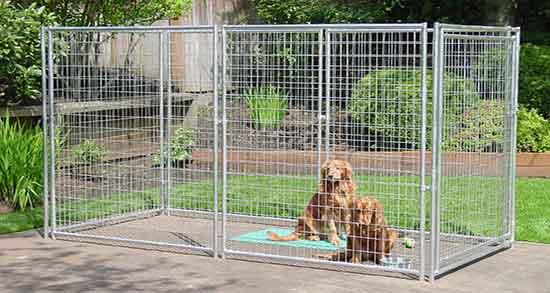 تعبیر خواب قفس ، شیر و مرغ و کبوتر و دیدن مرده در قفس و طوطی