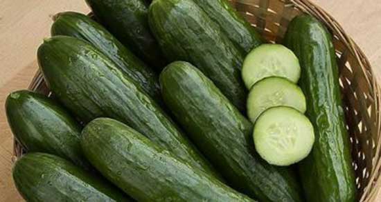تعبیر خواب ماست و خیار ، معنی دیدن ماست و خیار در خواب های ما چیست
