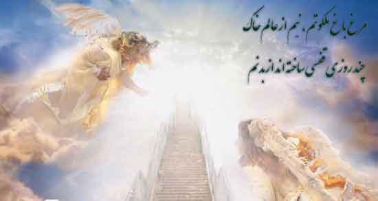 تعبیر خواب مردن شخص زنده ، شنیدن خبر مرگ برادر ابن سیرین و امام صادق