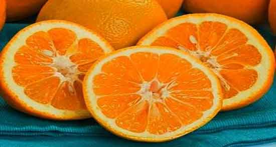 تعبیر خواب نارنج ، برای زن باردار و چیدن میوه از درخت نارنج سبز ابن سیرین