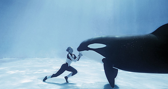 تعبیر خواب نهنگ در رودخانه و در استخر و خشکی و خانه در ساحل تعبیر خواب نهنگ در رودخانه ، معنی دیدن نهنگ در رودخانه در خواب های ما چیست