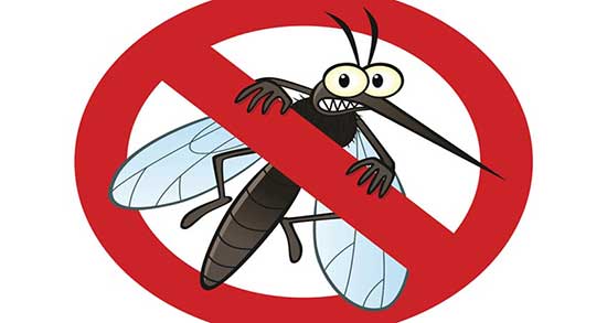 تعبیر خواب نیش زدن پشه و حشره و پروانه به دست امام صادق و از حضرت یوسف تعبیر خواب نیش زدن پشه ، معنی دیدن نیش زدن پشه در خواب های ما چیست