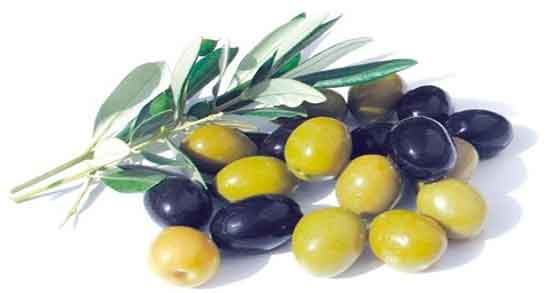 تعبیر خواب هسته زیتون ، معنی دیدن و خوردن هسته زیتون در خواب ما چیست