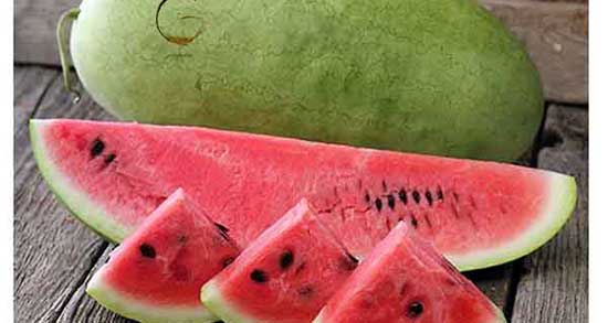 تعبیر خواب هندوانه گندیده ، معنی دیدن هندوانه گندیده در خواب های ما چیست