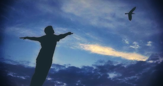 تعبیر خواب پرواز با چتر بدون بال و روح با ماشین و پریدن از هواپیما با چتر نجات تعبیر خواب پرواز با چتر ، معنی دیدن پرواز با چتر در خواب های ما چیست