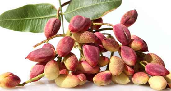 تعبیر خواب پسته خریدن ، معنی خریدن پسته در خواب چیست