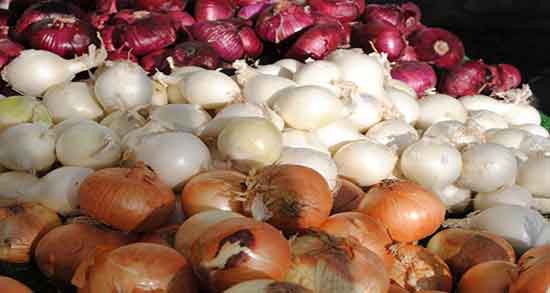 تعبیر خواب پیاز گندیده ، و برداشت و کاشتن و دادن پیاز به دیگران در خواب