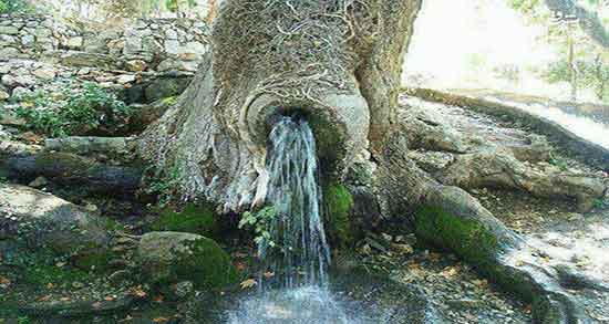 تعبیر خواب چشمه