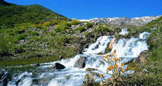 تعبیر خواب چشمه زلال ، معنی دیدن چشمه زلال در خواب های ما چیست