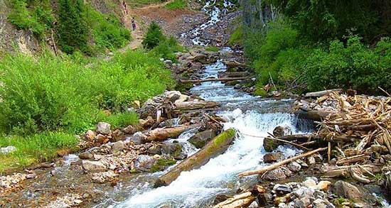 تعبیر خواب چشمه نفت ، معنی دیدن چشمه نفت در خواب های ما چیست