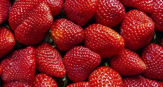 تعبیر خواب چیدن توت فرنگی نی نی سایت برای دختر و گرفتن توت فرنگی از مرده تعبیر خواب چیدن توت فرنگی ؛ معنی چیدن توت فرنگی در خواب ما چیست