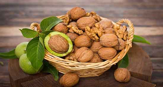 تعبیر خواب گردو از امام صادق ، درخت گردو حضرت یوسف و دیدن و خوردن گردو