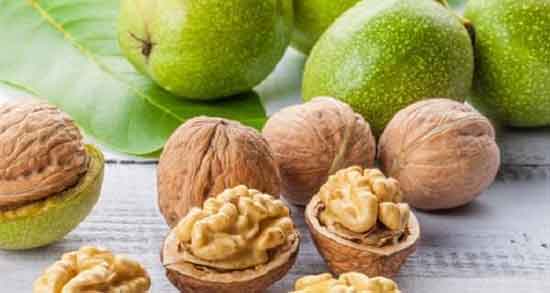 تعبیر خواب گردو برای زن حامله ، از امام صادق و جنسیت جنین از حضرت یوسف