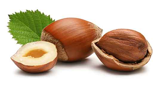 تعبیر خواب گرفتن فندق از مرده ، و دادن فندق در خواب به مرده چیست