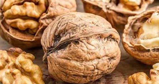 تعبیر خواب گرفتن گردو از شخصی ، معنی دیدن گرفتن گردو از شخصی در خواب تعبیر خواب گرفتن گردو از شخصی ، معنی دیدن گرفتن گردو از شخصی در خواب