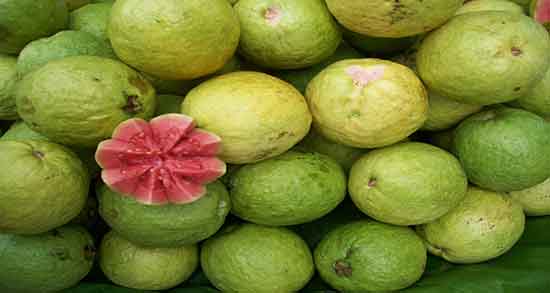تعبیر خواب گواوا ، معنی دیدن گواوا در خواب های ما چیست
