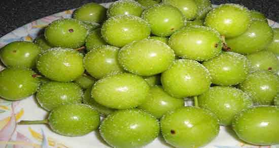 تعبیر خواب گوجه باغی ، معنی دیدن و خوردن الوچه سبز بزرگ در خواب چیست