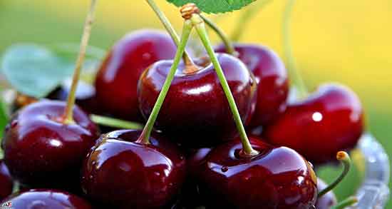 تعبیر خواب گیلاس کرم دار ، معنی دیدن و خوردن گیلاس خراب و گندیده در خواب