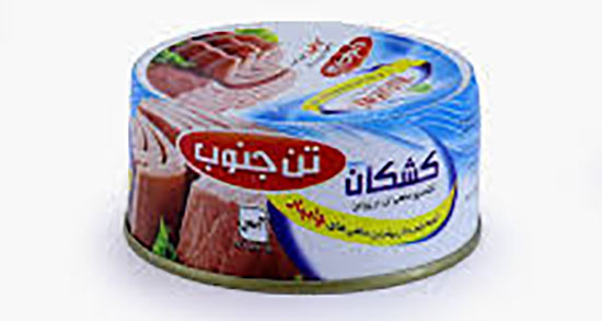 تن ماهی چاق میکنه ؛ ایا مصرف روزانه تن ماهی باعث چاقی میشود