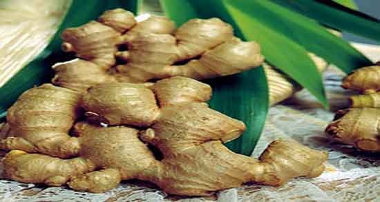 جدول غذایی زنجبیل ؛ کالری و ارزش غذایی زنجبیل تازه برای بدن چقدر است