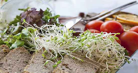 جوانه کنجد برای چی خوبه ؛ ایا جوانه کنجد برای چربی سوزی شکم مفیده