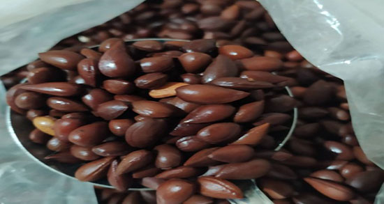 خاصیت الوک ؛ فواید مصرف الوک برای جنین زنان باردار چیست