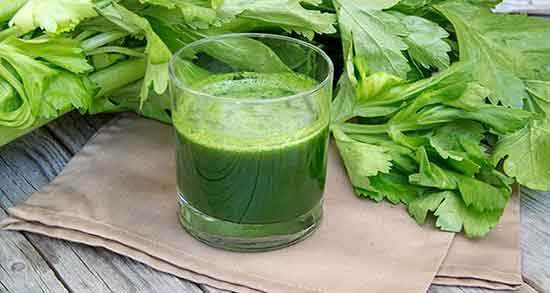 خاصیت برگ کرفس ؛ خواص مصرف برگ کرفس برای تقویت صدای قناری