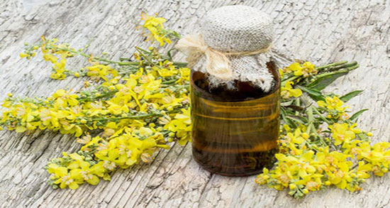 خاصیت روغن خرگوشک ؛ فواید مصرف روغن خرگوشک برای پوست صورت